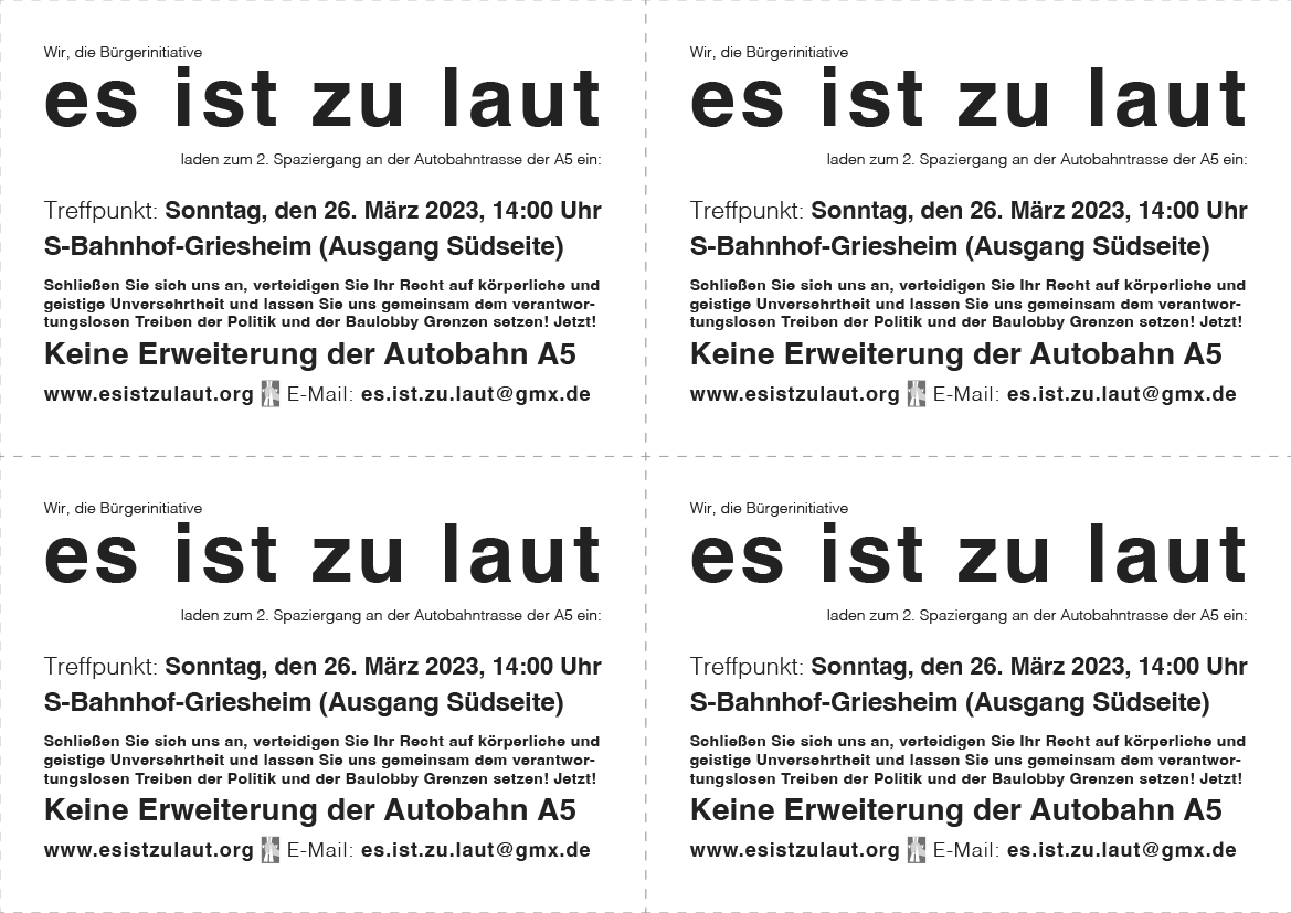 Flyer der BI-EsIstZuLaut